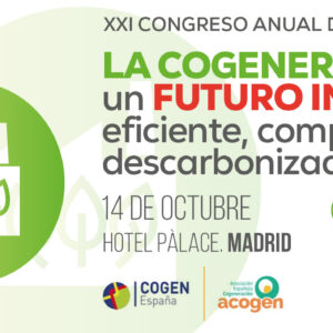 XXI Congreso anual de Cogeneración 2025