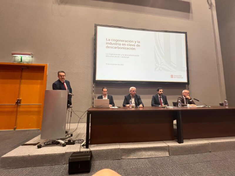 WhatsApp Image 2025-11-19 at 16.58.44